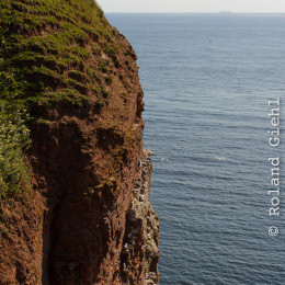 Urlaub2012-06-14_Helgoland_53