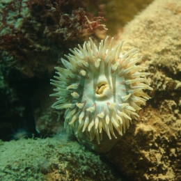 Urlaub2012-06-11_Wilhelmshaven_12