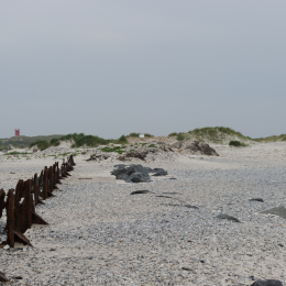 Urlaub2012-06-15_Helgoland_55