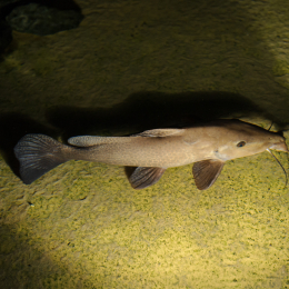 Urlaub2012-06-13_Bremerhaven_60