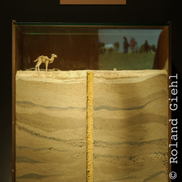 Urlaub2012-06-13_Bremerhaven_56