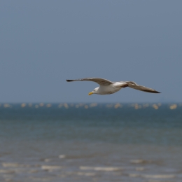 Urlaub2012-06-12_08