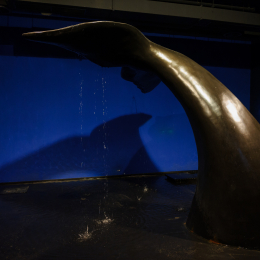 Urlaub2012-06-13_Bremerhaven_72