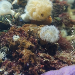 Urlaub2012-06-11_Wilhelmshaven_10