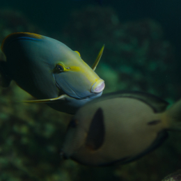 Urlaub2012-06-13_Bremerhaven_70