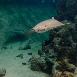 Urlaub2012-06-11_Wilhelmshaven_29