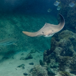 Urlaub2012-06-11_Wilhelmshaven_28