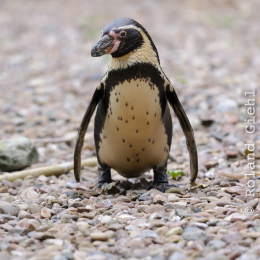 Urlaub 2012 - Nordsee
