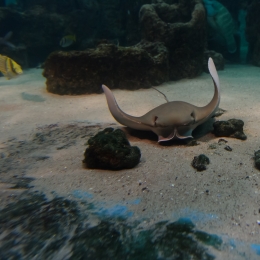 Urlaub2012-06-11_Wilhelmshaven_24