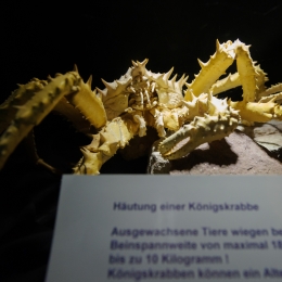 Urlaub2012-06-11_Wilhelmshaven_20