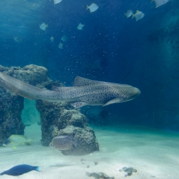 Urlaub2012-06-11_Wilhelmshaven_25