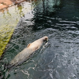 Urlaub2012-06-11_Wilhelmshaven_36