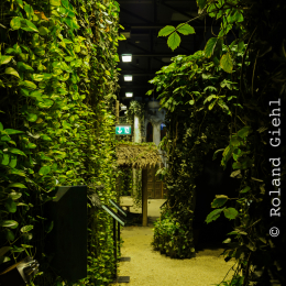 Urlaub2012-06-13_Bremerhaven_66