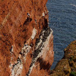 Urlaub2012-06-14_Helgoland_51
