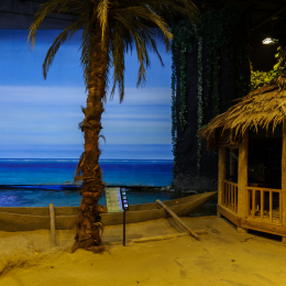 Urlaub2012-06-13_Bremerhaven_69