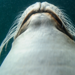 Urlaub2012-06-11_Wilhelmshaven_16