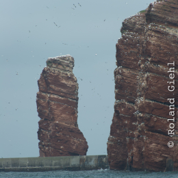 Helgoland-20130624-06