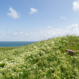 Helgoland-20130626-11