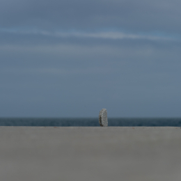 Helgoland-20130624-15