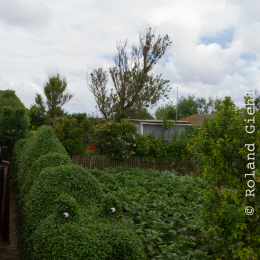 Helgoland-20130626-03