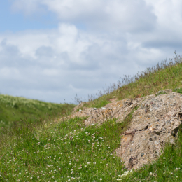 Helgoland-20130626-09