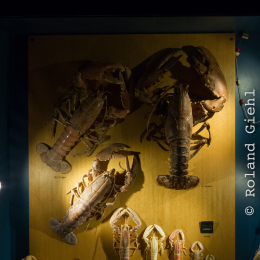 Helgoland-20130628-03