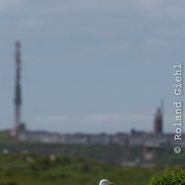 Helgoland-20130625-11