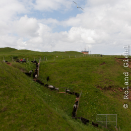 Helgoland-20130626-05
