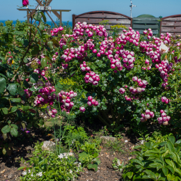 Helgoland_Tag_07_20140710_121