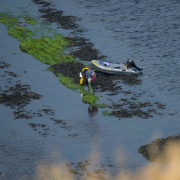 Helgoland_Tag_03_20140706_065