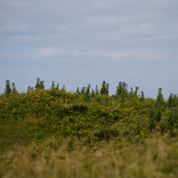 Helgoland_Tag_12_20140716_026