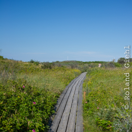 Helgoland_Tag_08_20140711_353