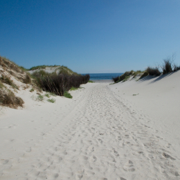 Helgoland_Tag_08_20140711_337