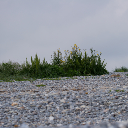 Helgoland_Tag_04_20140707_073