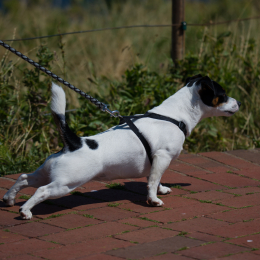 Helgoland_Tag_07_20140710_082