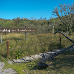 Helgoland_Tag_08_20140711_361