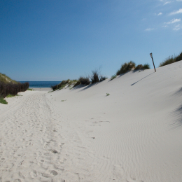 Helgoland_Tag_08_20140711_335