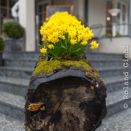 20150404_Ostern_Schaffhausen_20150404_001