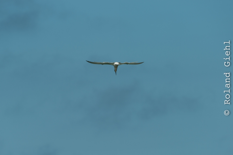 Helgoland-2016_20160421_002