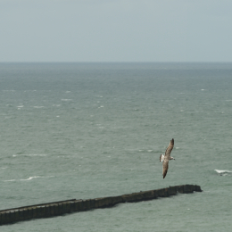 Helgoland-2016_20160422_018