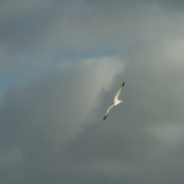 Helgoland-2016_20160419_023