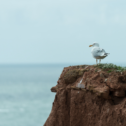 Helgoland-2016_20160422_003