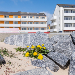 Helgoland-2016_20160419_006