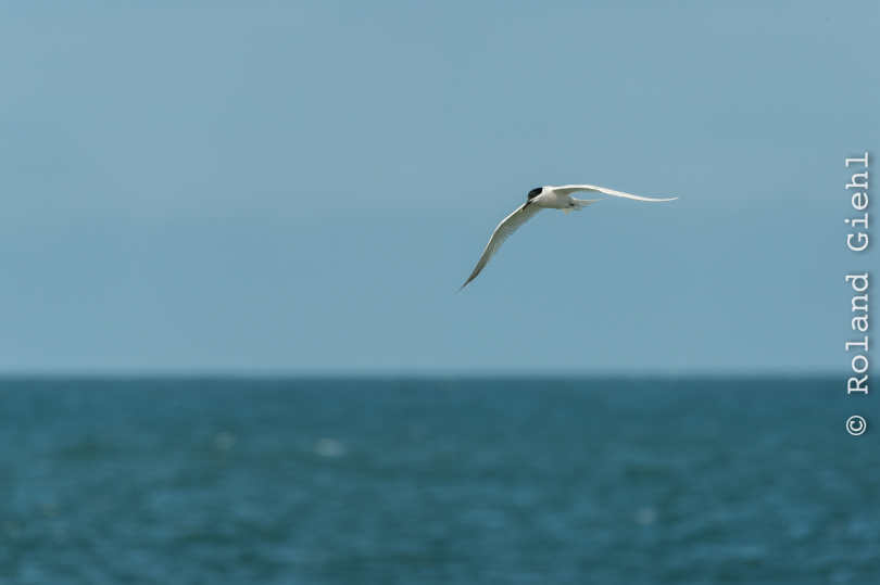 Helgoland-2016_20160421_001