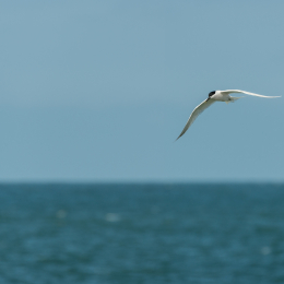 Helgoland-2016_20160421_001