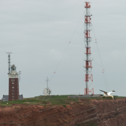 Helgoland-2016_20160418_019