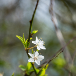 Helgoland-2016_20160419_002