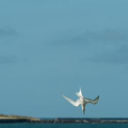 Helgoland-2016_20160421_004