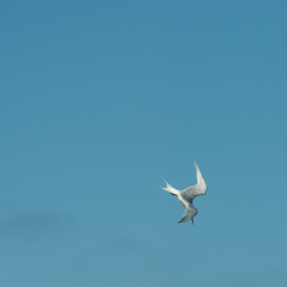 Helgoland-2016_20160421_003