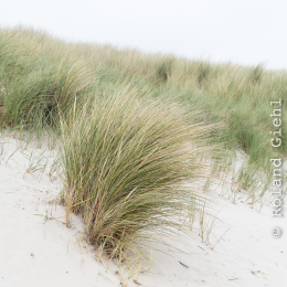 Helgoland_20170613_023